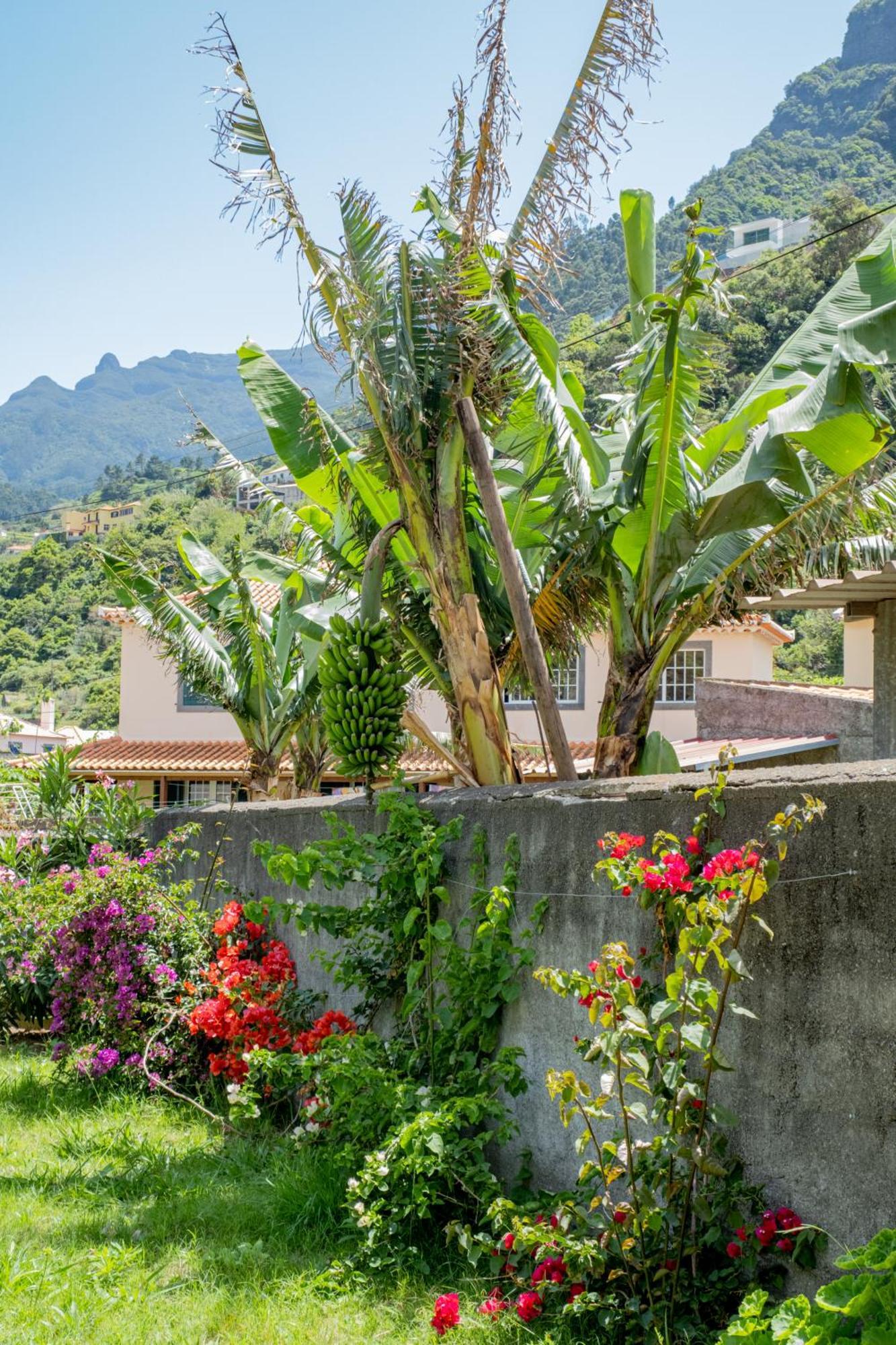 Sao Vicente Guest House Exterior foto